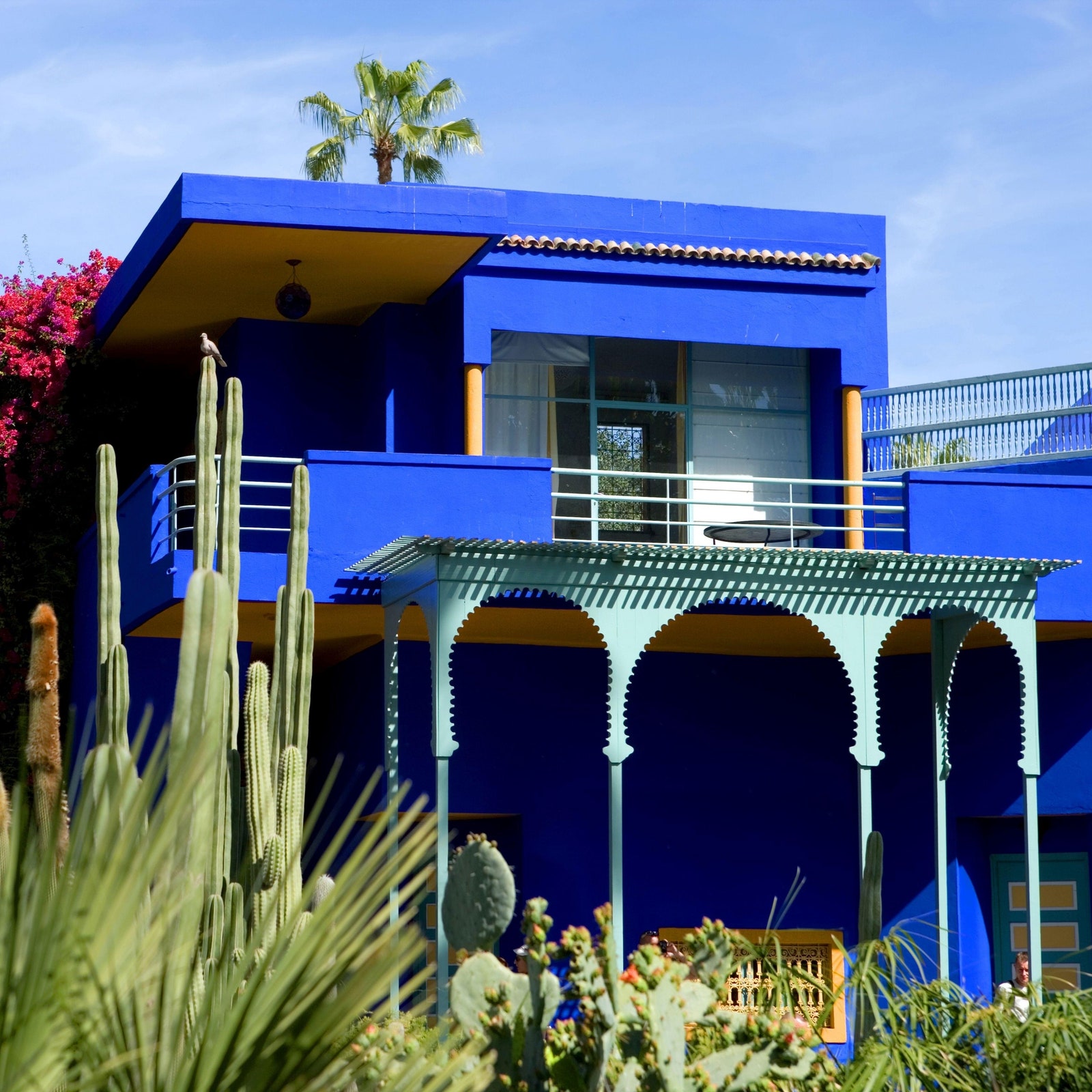 Visite guidée du Jardin Majorelle à Marrakech