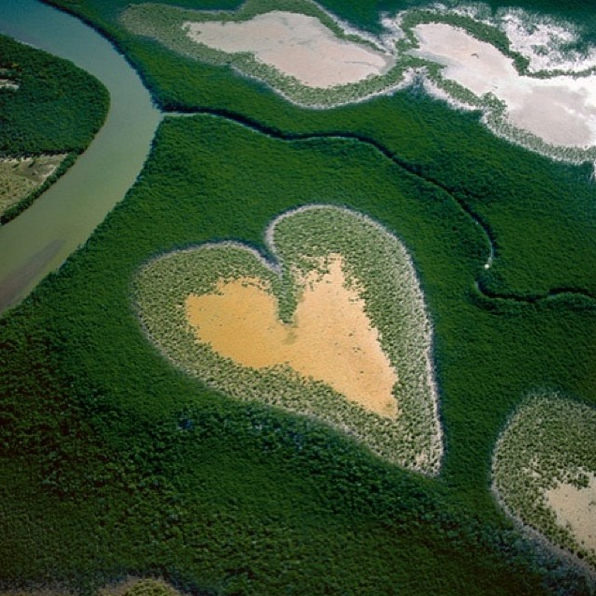 Comment les stars s'engagent en faveur de l'écologie ?