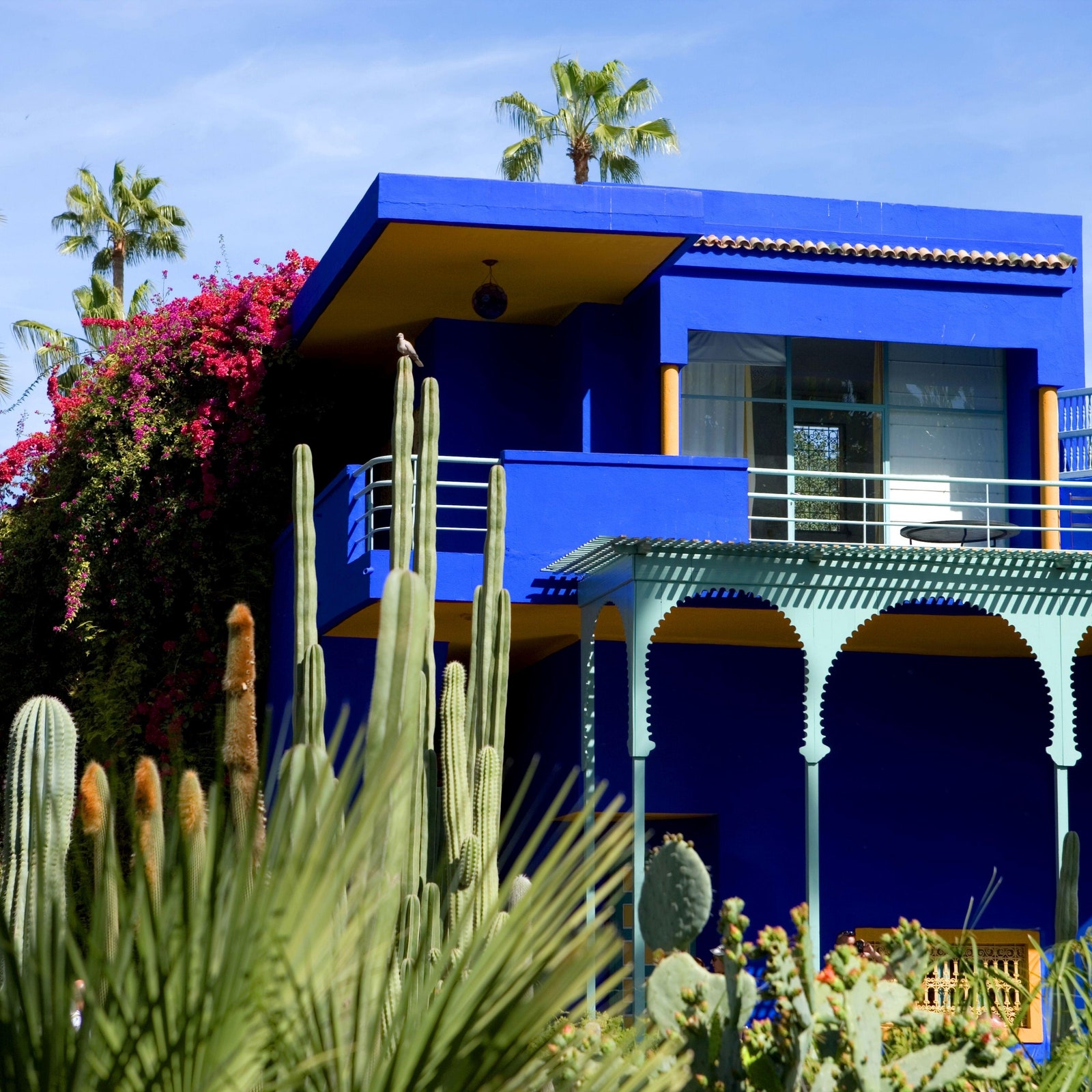 Take a virtual tour of the Majorelle Garden, a center of peace and serenity in Marrakesh