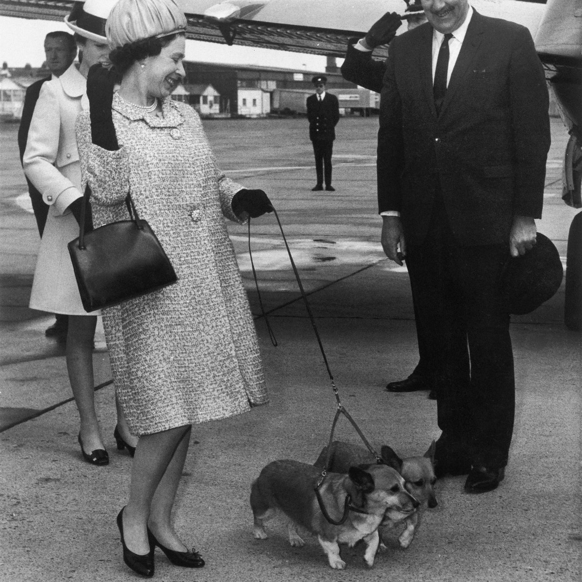 La grande histoire d'amour entre la reine Elizabeth II et les corgis