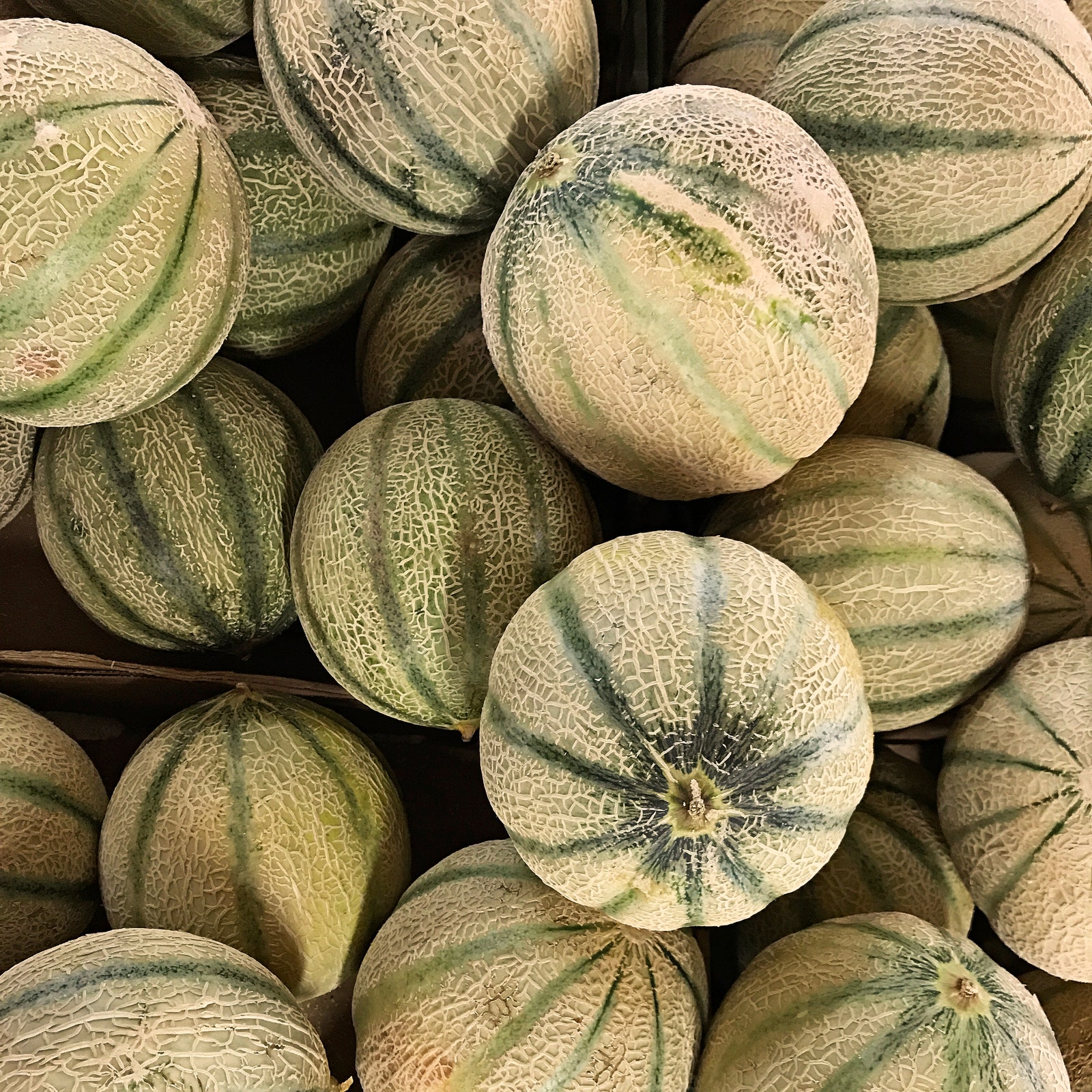 Peau hydratée, ventre plat… Voici 3 bienfaits insoupçonnés du melon