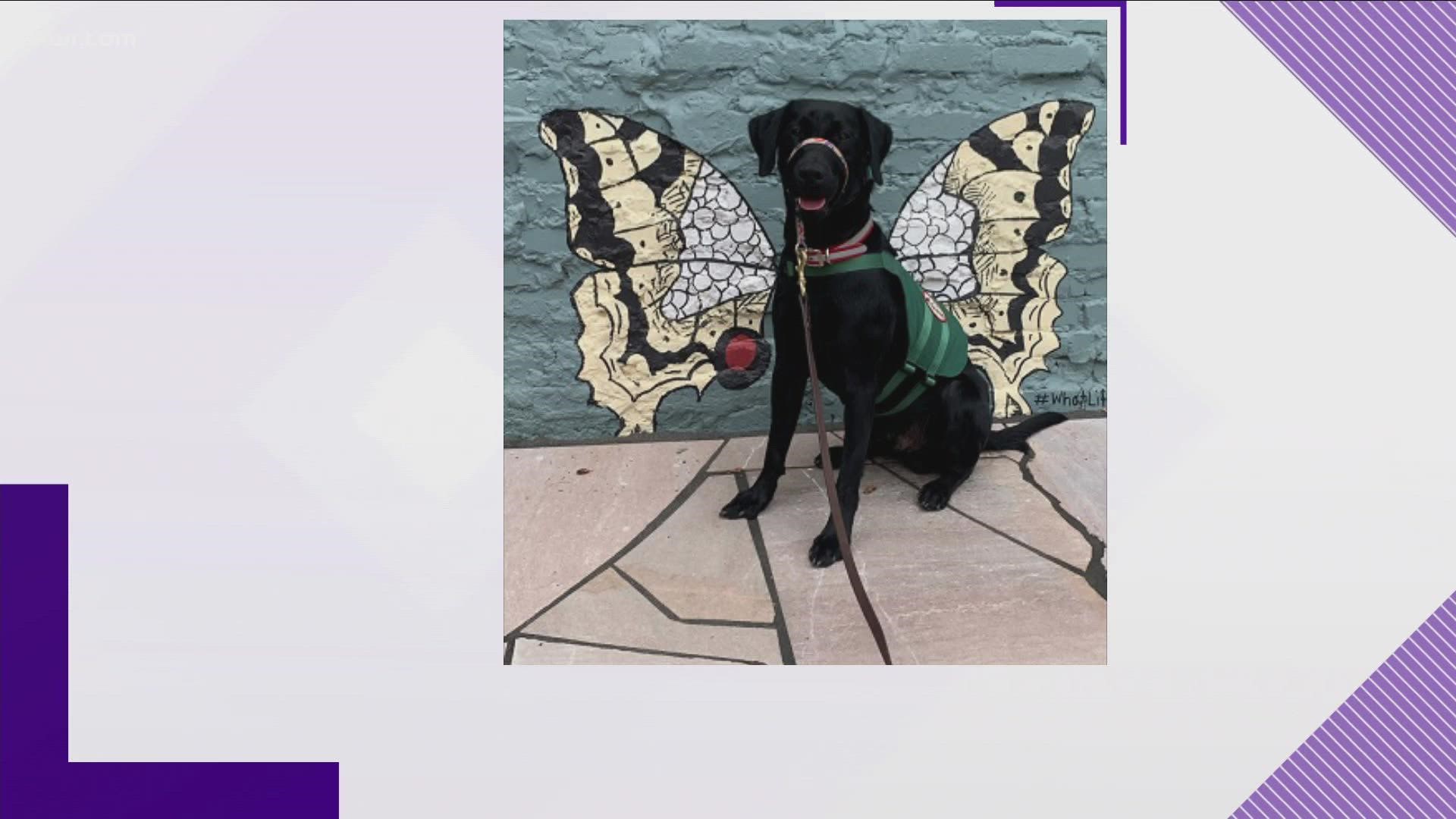 One thing that will make you smile is the angel wings on Broadway in the heart of Downtown Maryville.