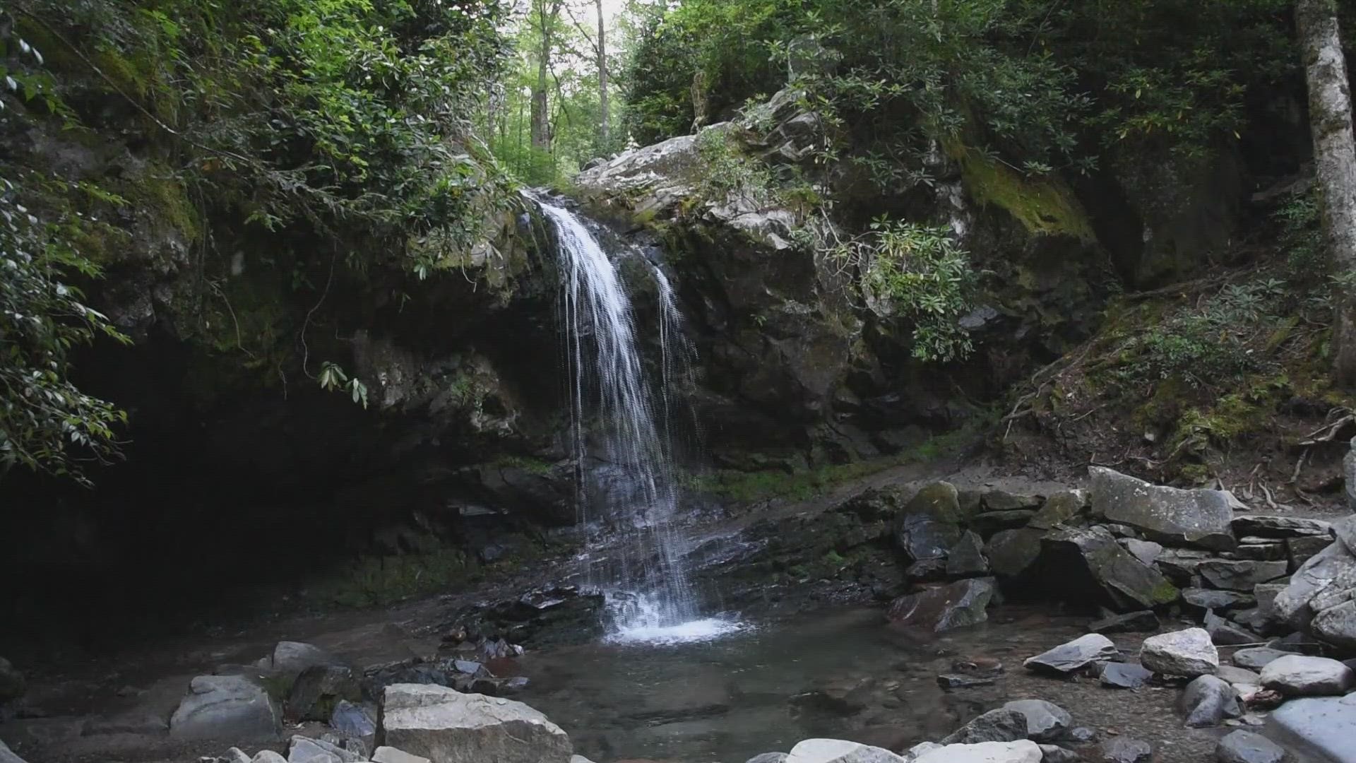 The 2.6-mile roundtrip is located off Roaring Fork Motor Nature Trail through Trillium Gap Trail.