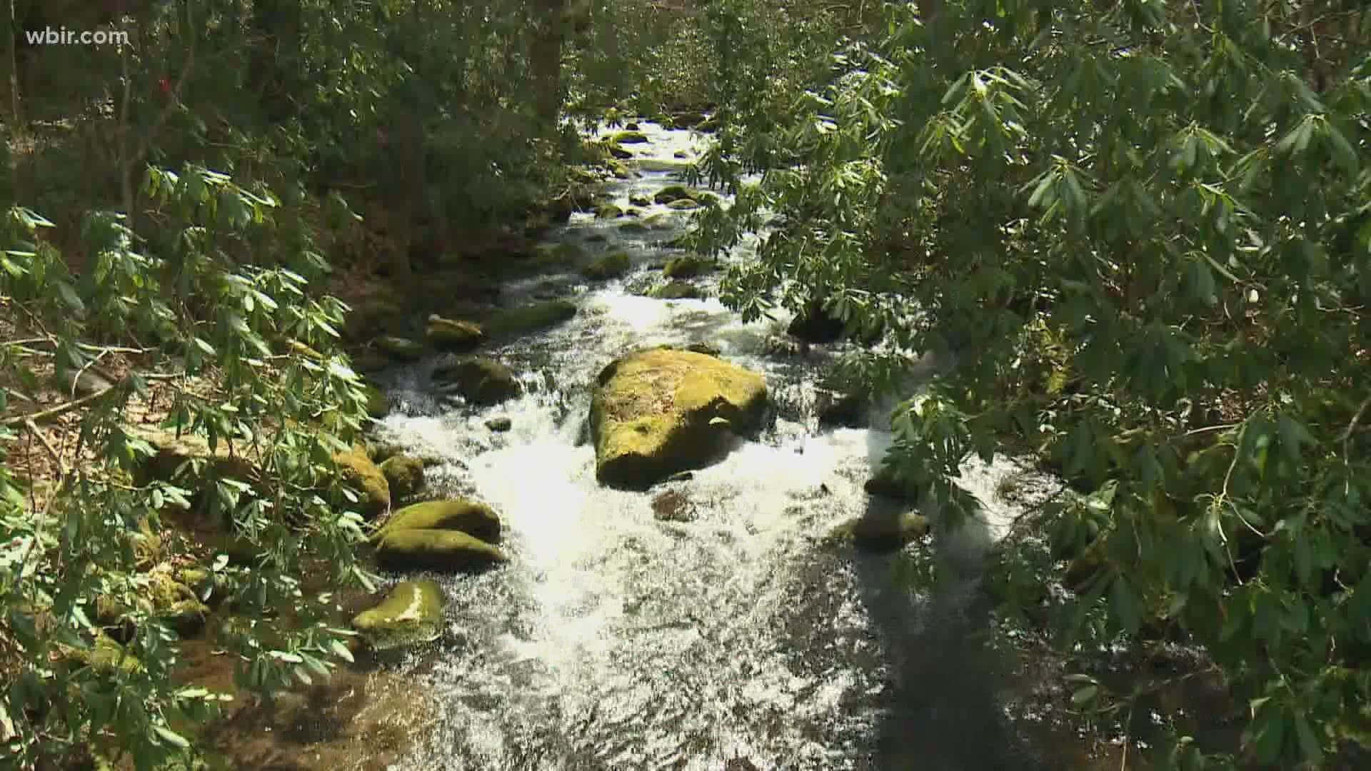 There are dozens of hike-able trails in the Smokies, but there are sure favorites for the National Park Service.