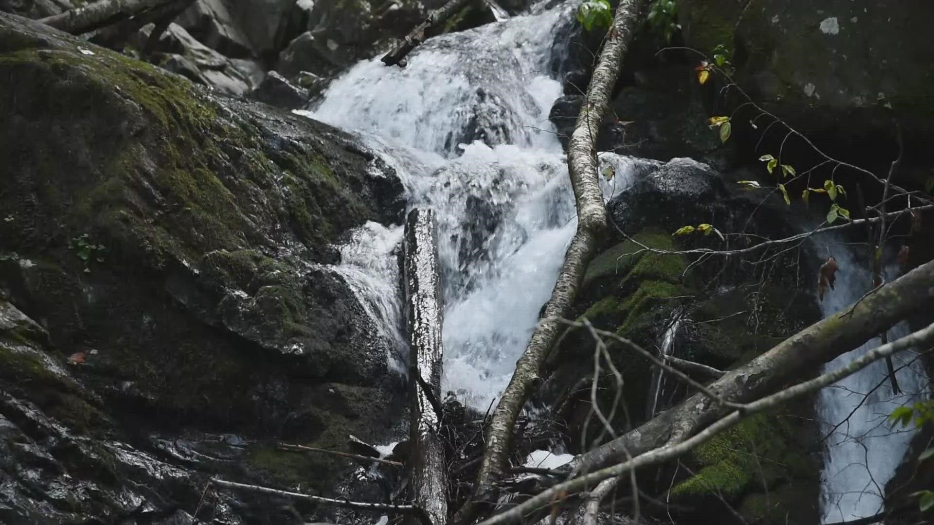 The trail is around 1.5 miles round trip and starts near the Tremont Institute in the Great Smoky Mountains National Park.