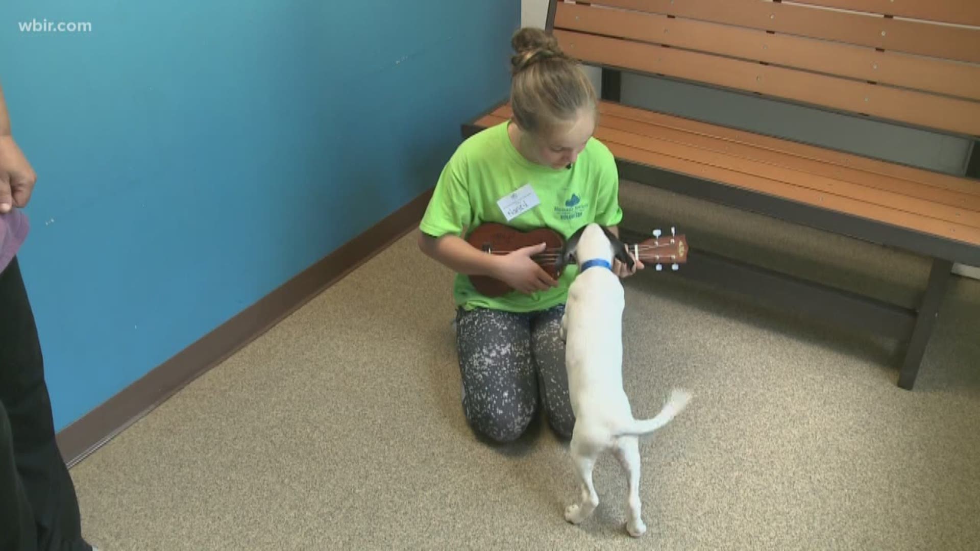 Nancy Tant goes to a different universe when she plays. She also goes to the Humane Society of the Tennessee Valley is West Knoxville. She found out about a reading program for the animals here... then she suggested singing instead.