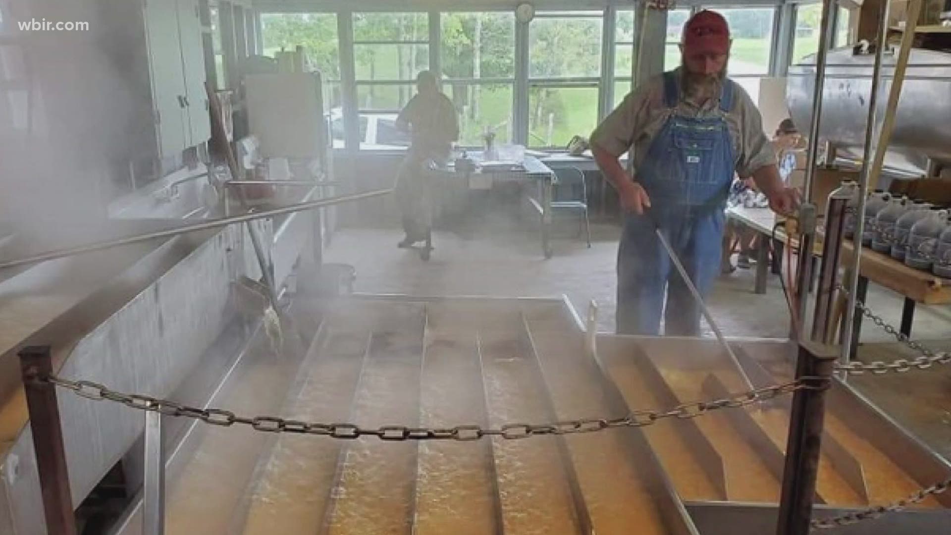 "Foods of the Smokies" gets their sorghum from a couple who runs the business Muddy Pond Sorghum. They bring mules to Cades Cove for demonstrations.