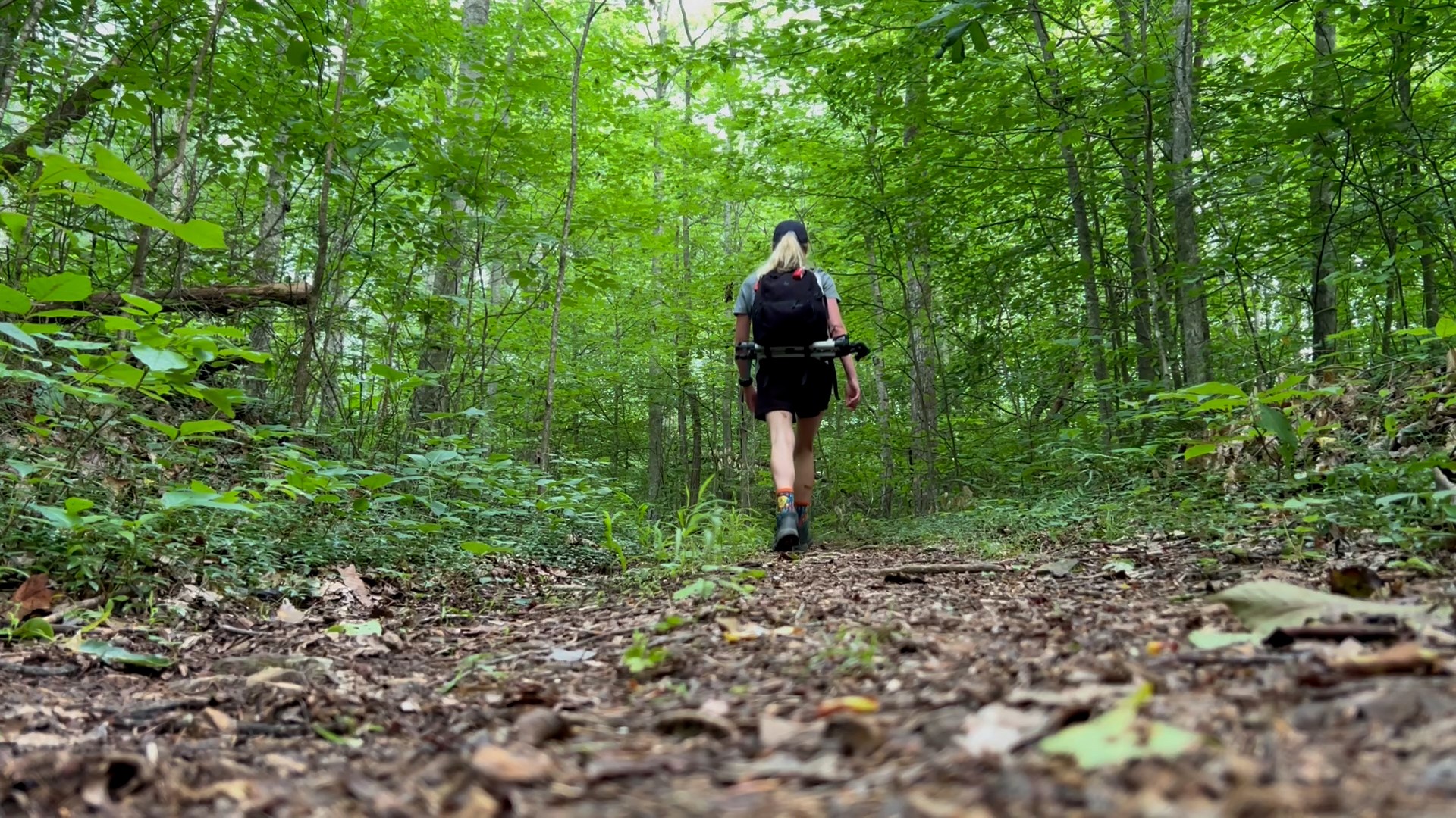 Andrews Ridge Trail is a little less than 2 miles of easy hiking at the park's highest point.