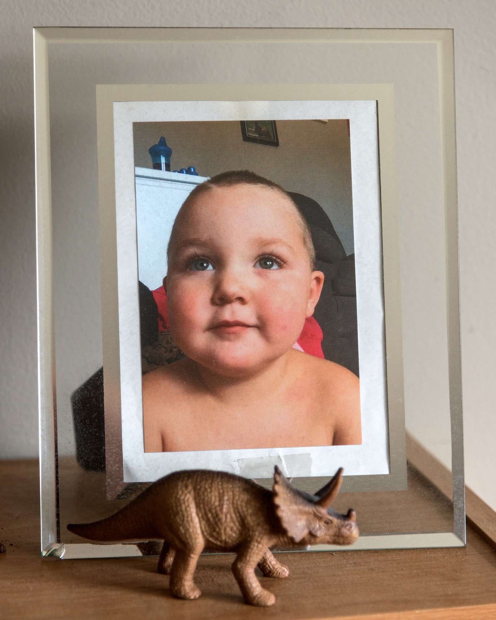 A baby picture of Dylan with one of the boy's beloved dinosaurs.