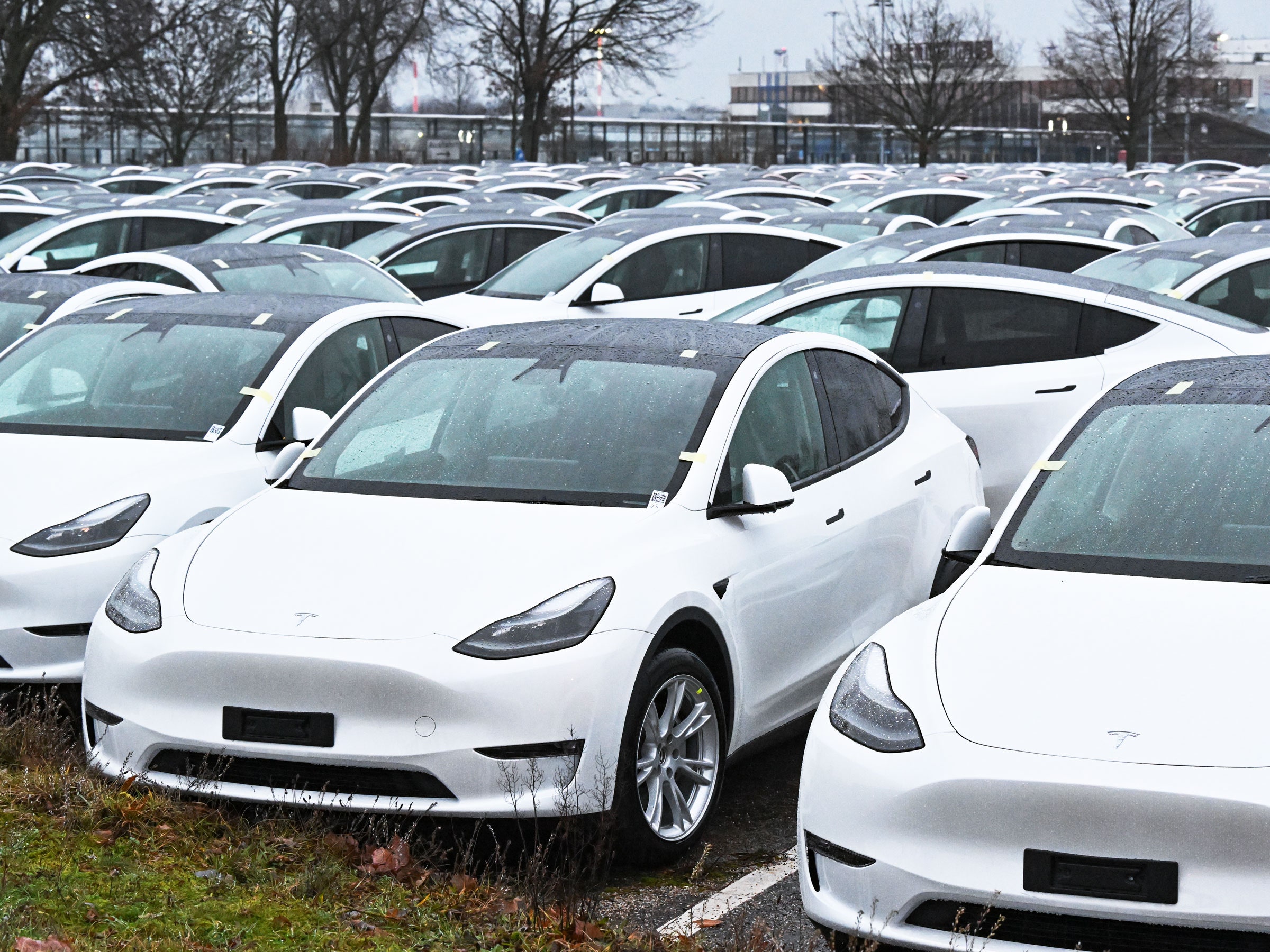 rows of parked Tesla vehicles