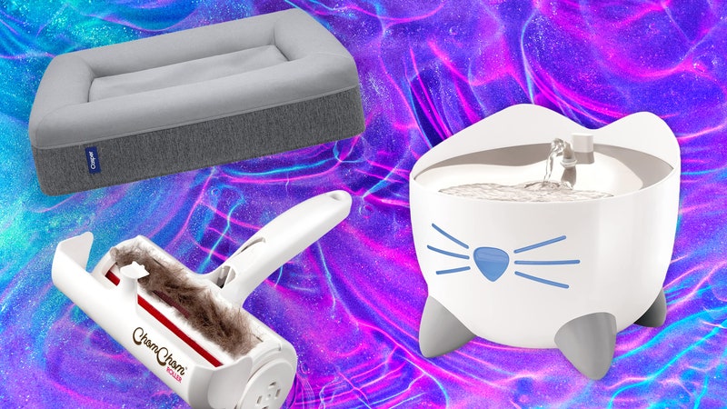 The 11 Best Prime Day Pet Deals on Dog Beds, Cat Water Fountains, and More