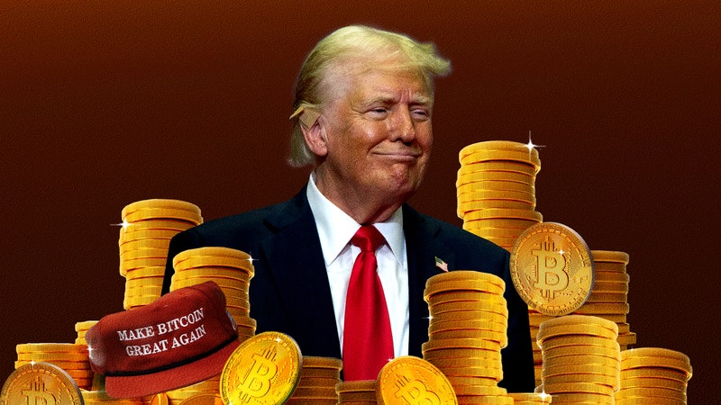 Donald Trump’s Plan to Hoard Billions in Bitcoin Has Economists Stumped