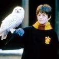 30+ Nearly Impossible "Would You Rather?" Questions For Harry Potter Fans