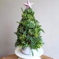 19 Succulent Christmas Trees So Cute, You Just Might Ditch Your Balsam Fir