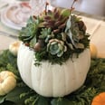 This Is Your Sign to DIY a Succulent Pumpkin This Month