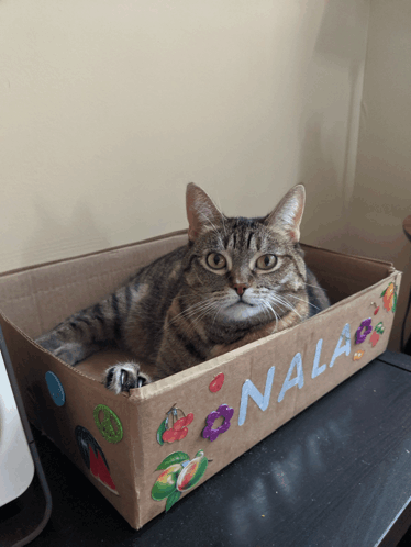 a cat is laying in a cardboard box that says " nala "