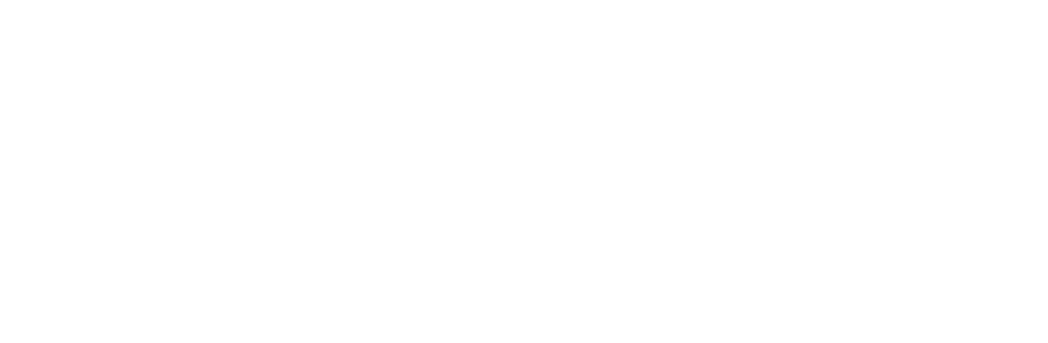 MN Custom Homes (Logo)