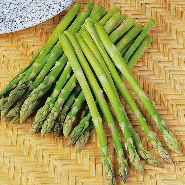 Asparagus Ariane F1 Seeds