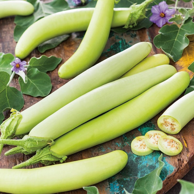 Aubergine Green Knight F1 Vegetable Seeds