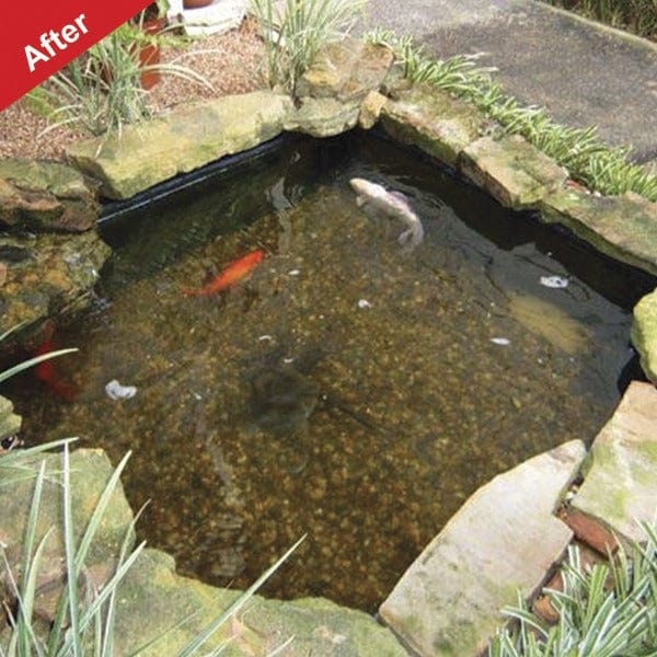 Viresco Aqua Pond Clear Including Free Nitrate Test Strips