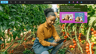 Windows 11's Photos app, with Designer