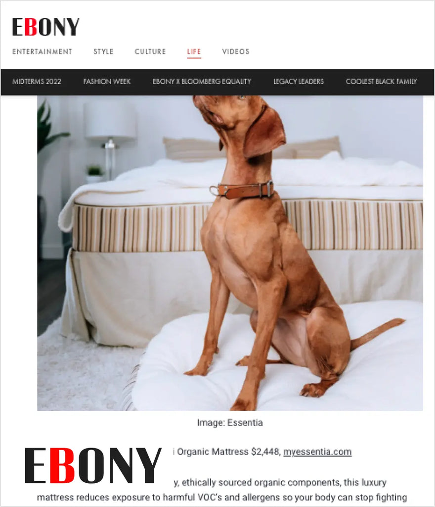 ESSENTIA_MEDIA_EBONY