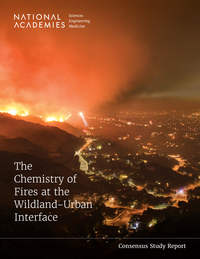 The Chemistry of Fires at the Wildland-Urban Interface