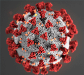 Icon: Coronavirus Resources