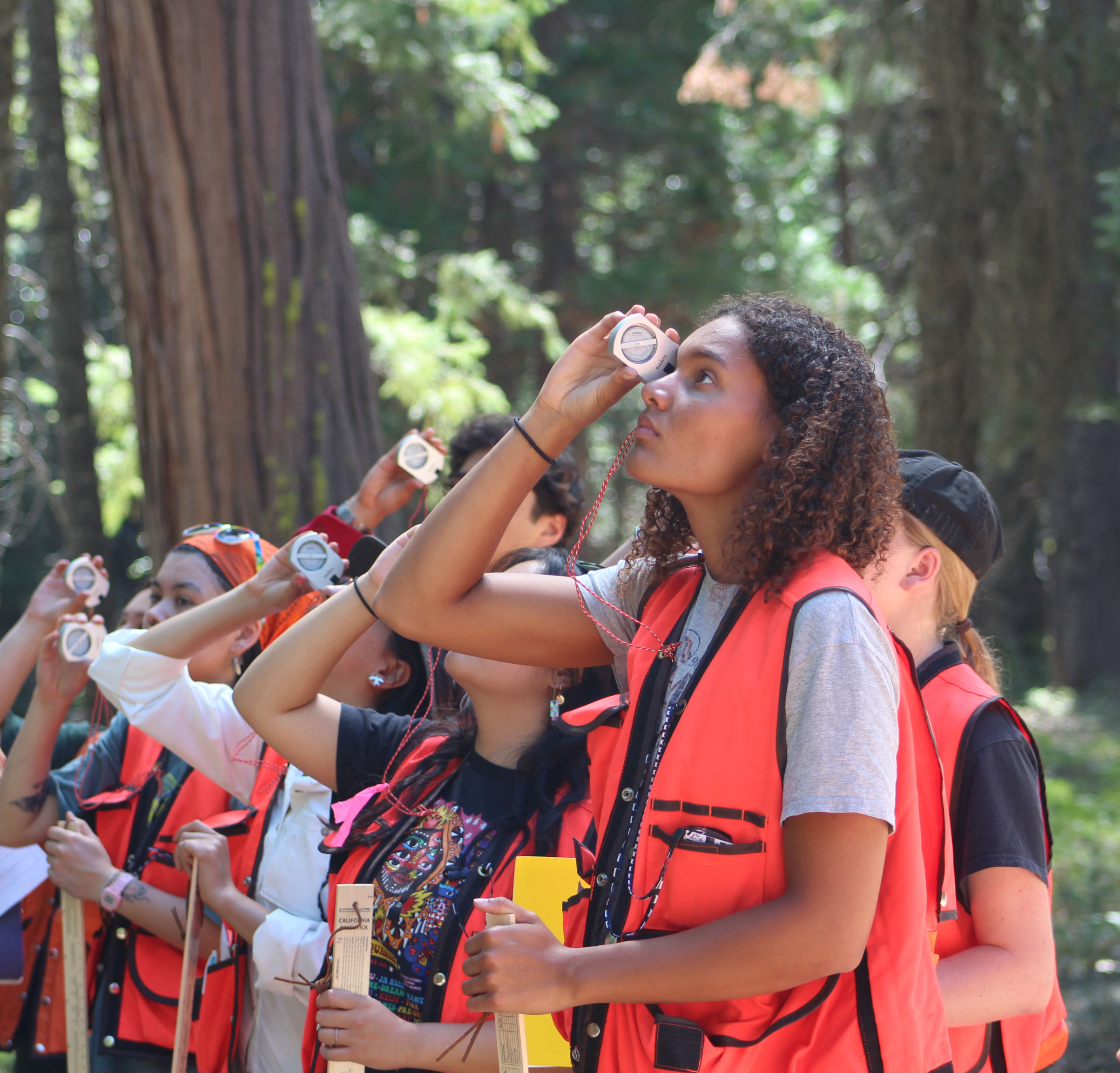 students in the forest looking through instruments