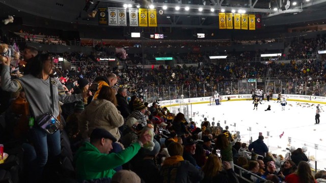 Providence Bruins