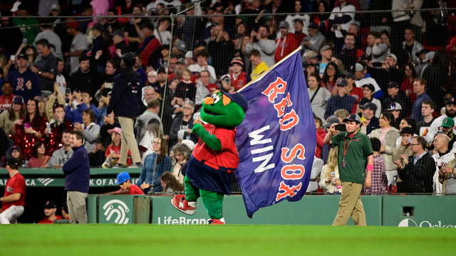 Boston Red Sox mascot Wally