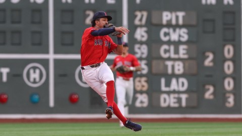 Boston Red Sox infielder David Hamilton