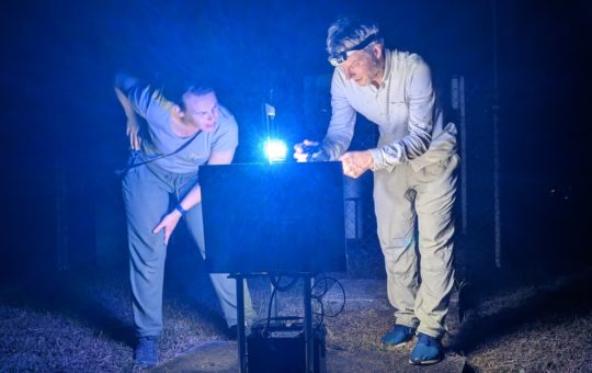 Two people with torches examining computer equipment at night