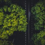 Birdseye view of a road between green tree tops