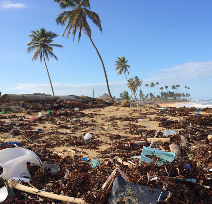 A photo of a beach with palm trees, with plastic and garbage washed up all over the shoreline, with so much garbage that you can barely see the sand on the beach anymore.