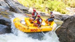 Yellow raft going over rapids on the Chattooga River Rafting: Section IV (with Lunch) trip