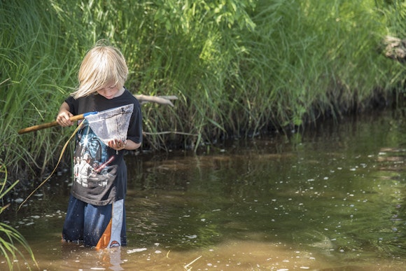 A child stands in a river and looks closely at something in a net