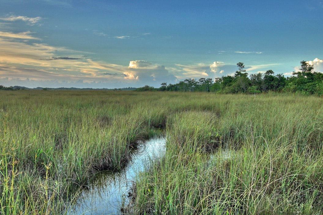 Everglades National Park