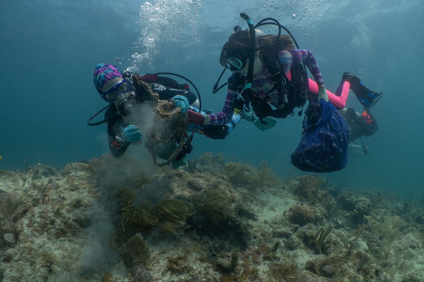 2 scuba divers underwater