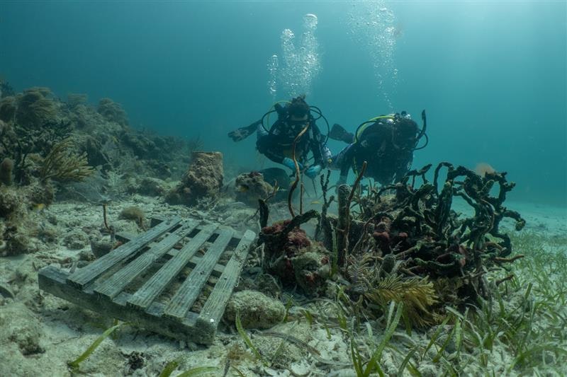 Underwater image of people wearing scuba gear clearing up the ocean floor