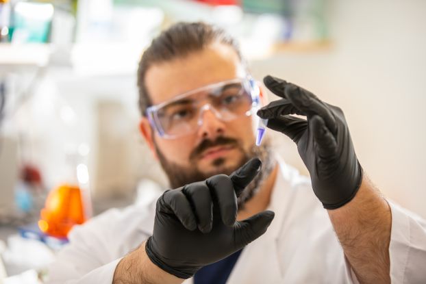 Researcher observes saliva sample from a ferret