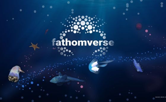 FathomVerse logo