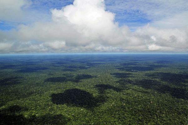 Aerial view of the Amazon Rainforest, near Manaus, the capital of the Brazilian state of Amazonas.