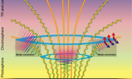 Cartoon diagram of the solar atmosphere, showing magnetic fields rising from the photosphere, and fanning out into the corona. Waves are shown along the magnetic field lines, with a box indicating mode conversion occurring in the chromospheric layer.