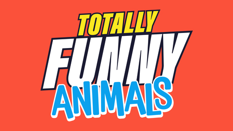 Totally Funny Animals