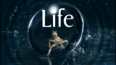 Life (2009)