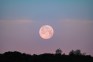 Full Strawberry Moon in Capricorn: Revisit your past, nurture your future
