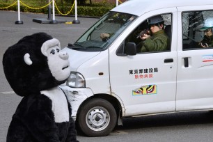 Staff at Ueno Zoo in Japan chase after a zookeeper in a gorilla costume during an emergency drill.