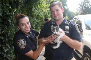 Officers Marisol Torres and Chris Bergin saved a tiny kitten trapped in a tree.