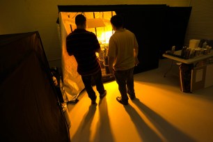 Students at the Institute of Medical Cannabis inspect a grow room at the school in Boca Raton. Tomatoes and peppers are grown since marijuana is not legal in Florida.